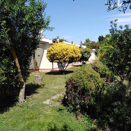 Agriturismo Le Colline Di Capalbio Dış mekan fotoğraf