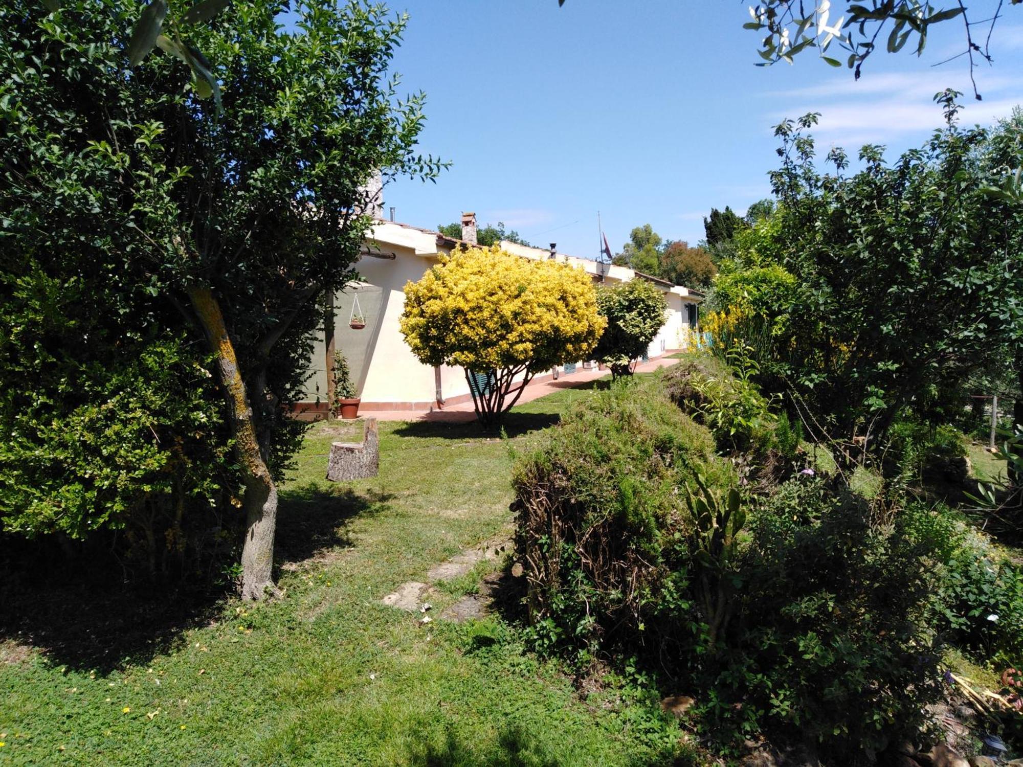 Agriturismo Le Colline Di Capalbio Dış mekan fotoğraf