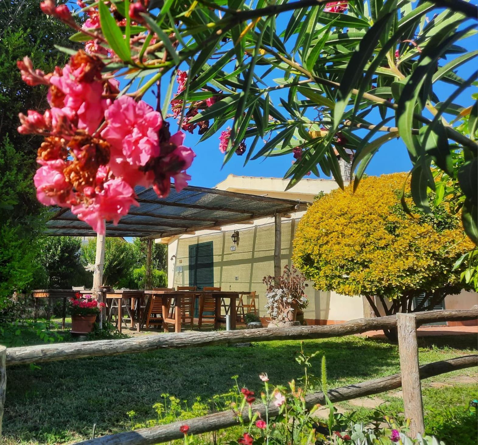 Agriturismo Le Colline Di Capalbio Dış mekan fotoğraf