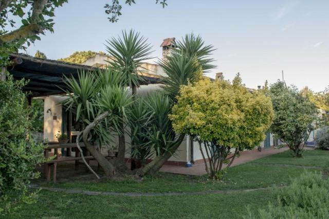 Agriturismo Le Colline Di Capalbio Dış mekan fotoğraf