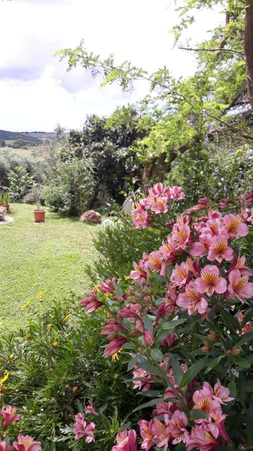Agriturismo Le Colline Di Capalbio Dış mekan fotoğraf