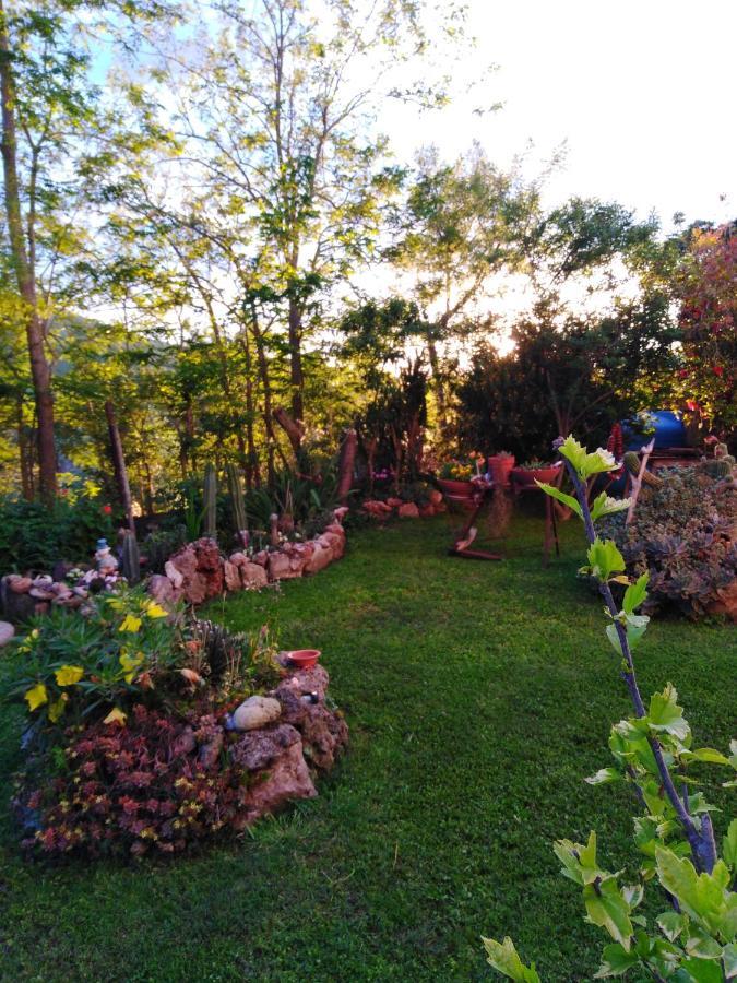 Agriturismo Le Colline Di Capalbio Dış mekan fotoğraf